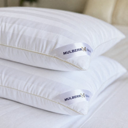 Mulberry silk pillow buy one get one free deal